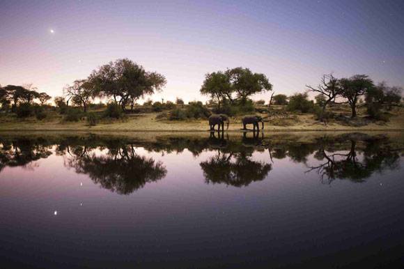 Into the Okavango by Neil Gelinas