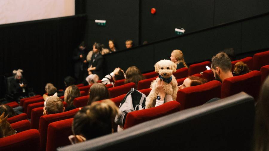 source: POFF source: POFF