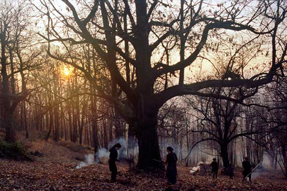Stories from the Chestnut Woods by Gregor Božič