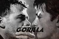 Belgrade&rsquo;s Firefly Announces Three International TV Coproductions