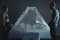 Domestique by Adam Sedl&aacute;k