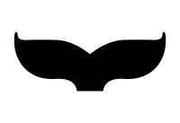 Open Call for Submissions &ndash; 31st Split Film Festival