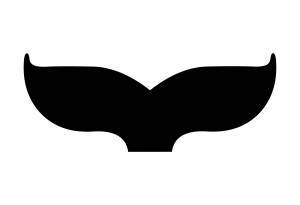 Open Call for Submissions &ndash; 31st Split Film Festival