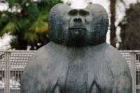 Tarzan&rsquo;s Testicles by Alexandru Solomon