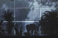 Comfortable Century by Jaroslav Kratochv&iacute;l