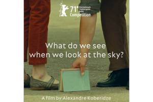 What Do We See When We Look at the Sky? by Alexander Koberidze