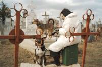 Don&rsquo;t Let Me Die by Andrei Epure