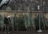 Korn&eacute;l Mundrucz&oacute;'s "The Tender Son"