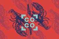 connecting cottbus 2020 Calls for Projects