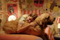 The Second Diary of Pauline P. by Neven Hitrec