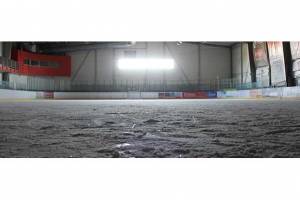 The Pack by Tom&aacute;&scaron; Polensk&yacute;