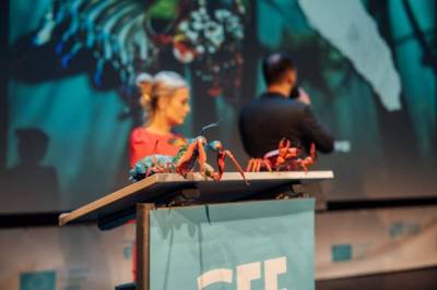 CEE Animation Forum 2022 Announces Its Winners - FilmNewEurope.com - Vimarsana News