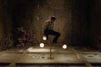 Who's Who in Mycology by Marie Dvoř&aacute;kov&aacute;