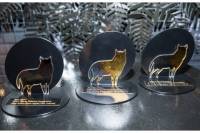 FESTIVALS: P&Ouml;FF Shorts 2022 Announces Winners