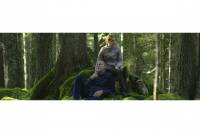 The Elegy of Laurel / Elegija lovora by Du&scaron;an Kasalica