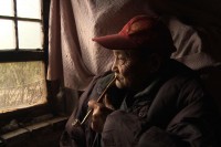 The Beekeeper&rsquo;s Family by Diedie Weng