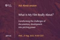 What Is My Film Really About?  | transforming the challenges of documentary development into pitching power