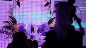 TV Beats Presents 31 Drama Series Projects in Various Stages