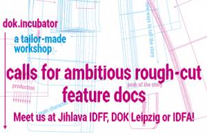 Apply for dok.incubator: deadline January 31st