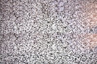 10 million Poles switch to digital television