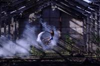 River Dreams by Kristina Mikhailova