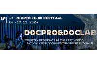 The 21st Verzi&oacute; Film Festival&rsquo;s Industry Program is out and starts in a few days!