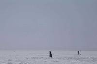 The Postcard Killings by Danis Tanović