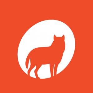 What's brewing in Tallinn: the Tallinn Black Nights Film Festival 2019 early programme overview