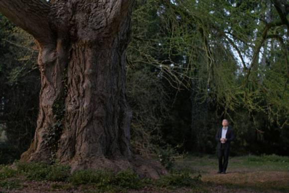 Silent Friend by Ildik&oacute; Enyedi