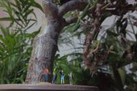 East Doc Platform 2023