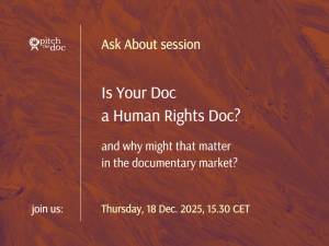 PtD hosts the next online session in the Ask About format. Is Your Doc a Human Rights Doc? And Why Might That Matter In the Market?