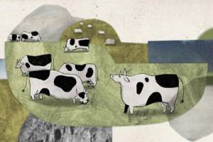 About a Cow by Pavla Baštanová