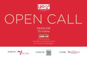 OPEN CALL for LINE-UP: International Academy &amp; Networking for Festival Managers May 30 - 31, 2024, Sibiu, Romania