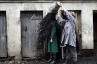 Neighbours by Grzegorz Kr&oacute;likiewicz