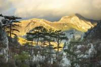 Carpathian Mountains