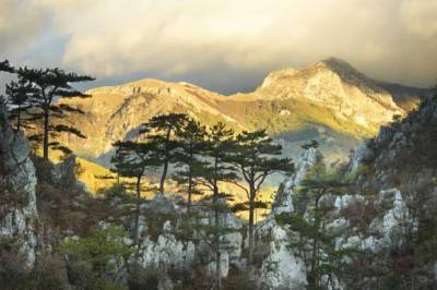 HBO Max Acquires Wild Romania Doc - FilmNewEurope.com - Vimarsana News