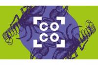 connecting cottbus Launches Call for Applications