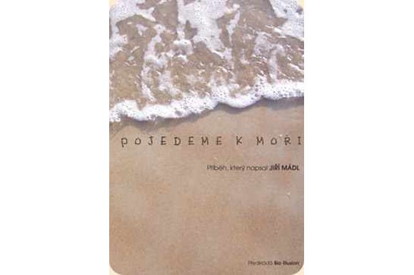 To See a Sea by Jiř&iacute; M&aacute;dl