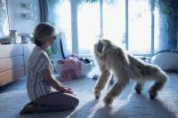 Ordinary Failures by Cristina Grosan