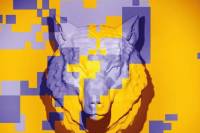 FESTIVALS: Tallinn Black Nights FF Announces New Competition Programme