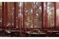 Elegy of Laurel by Du&scaron;an Kasalica