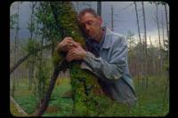 Tabasco by Andrius Žemaitis