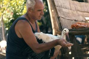 Works and Professionals from FNE Partner Countries Nominated for Primetime Emmy Awards