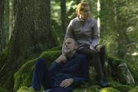 The Elegy of Laurel by Du&scaron;an Kasalica