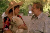 Dog's Home by Stephan Komandarev in Classics O'Clock 2024